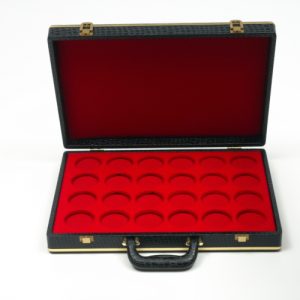 ABALLCASE.SNK .jpg